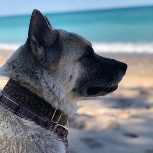 Meet your Posher, Jane - Picture 1 of 2